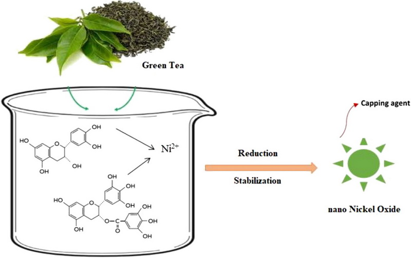 Does Green Tea Extract Contain Nickel Does Green Tea Extract Contain Nickel