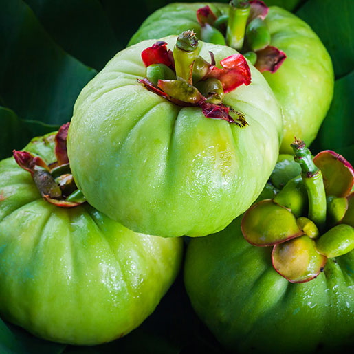 Does Garcinia Cambogia And Green Tea Extract Really Work-_1 Does Garcinia Cambogia And Green Tea Extract Really Work-_1