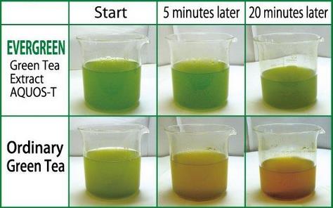How To Take Green Tea Extract-_2