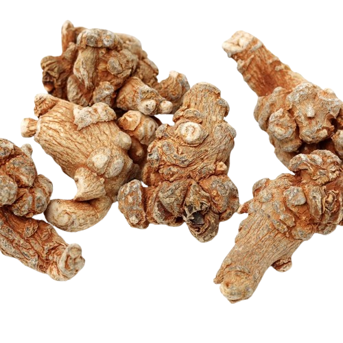 Panax Notoginseng Root Extract Notoginseng Total Saponins image
