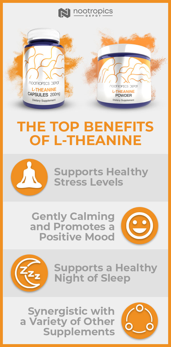 l-theanine-infographic l-theanine-infographic