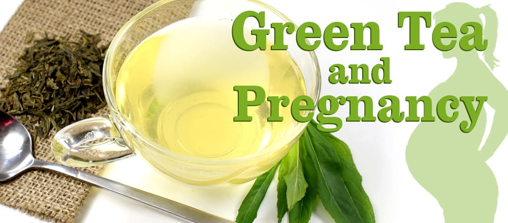 Green Tea Extract275 Green Tea Extract275