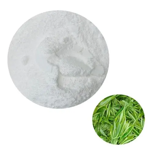 Green Tea Extract1 Green Tea Extract1
