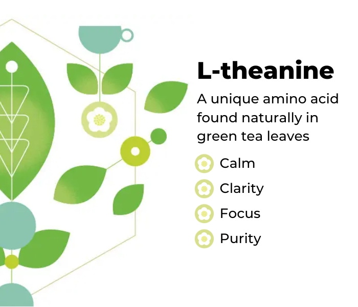 Is Green Tea L-Theanine 60% the Best Natural Mood Stabilizer Is Green Tea L-Theanine 60% the Best Natural Mood Stabilizer