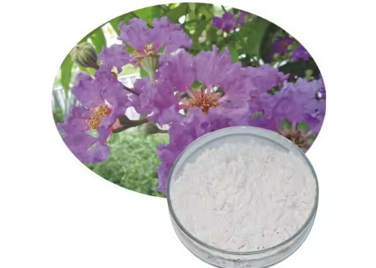 Can Banaba Leaf Extract Meet The Increasing Demand for Natural Ingredients