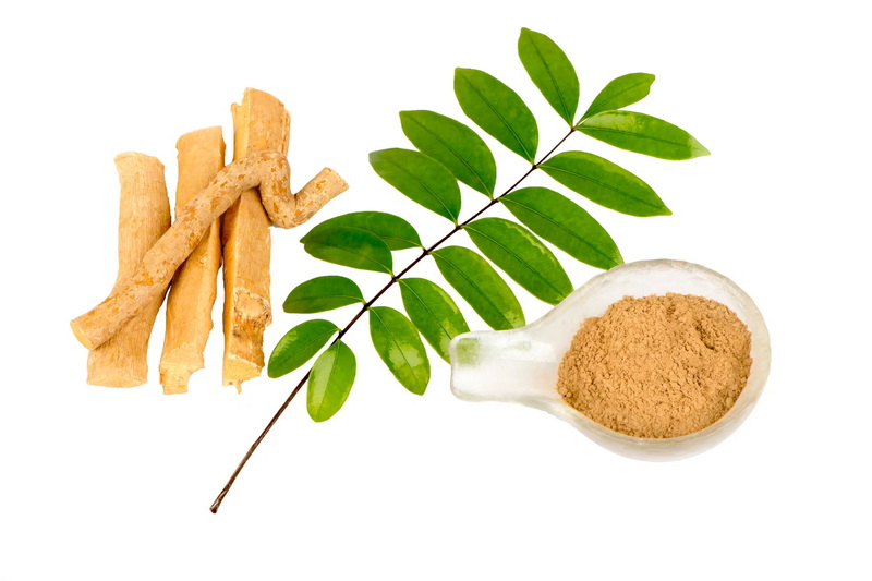 Top Tongkat Ali Extracts Manufacturers and Suppliers in Victoria