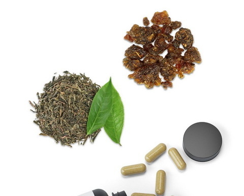 Is Garcinia Cambogia Green Tea Extract Is Garcinia Cambogia Green Tea Extract