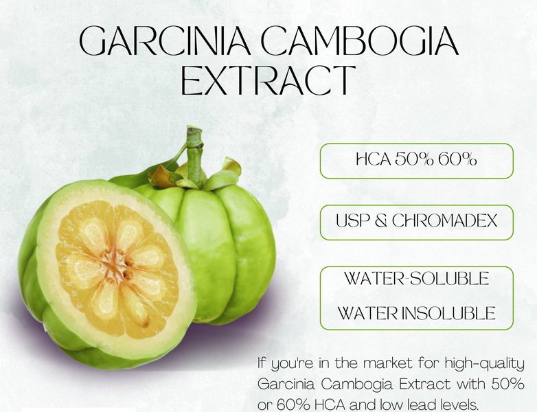 Take Garcinia Cambogia with Green Tea Extract_4 Take Garcinia Cambogia with Green Tea Extract_4