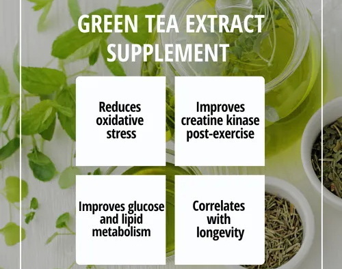 What Do Green Tea Extract Pills Do?