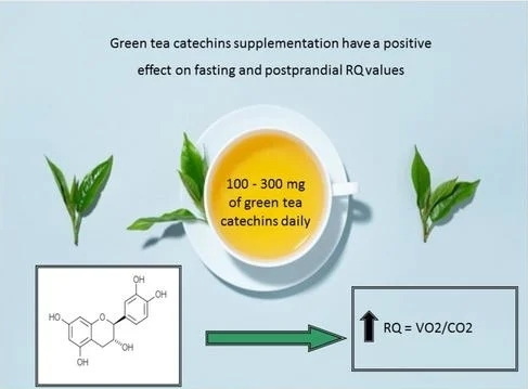 Does Green Tea Extract Contain Catechins Does Green Tea Extract Contain Catechins