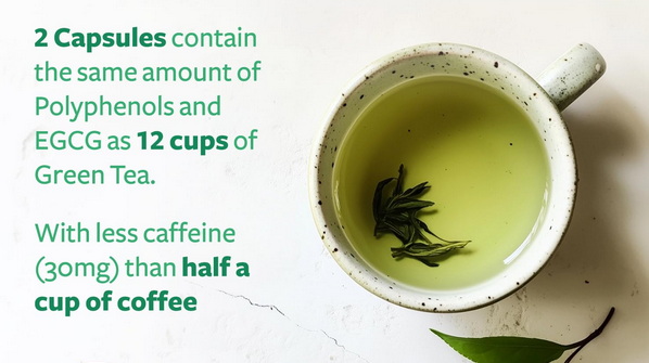 Is 50 Mg of Green Tea Extract A Lot-_2 Is 50 Mg of Green Tea Extract A Lot-_2