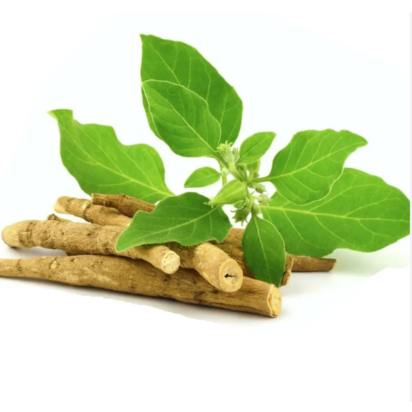 Ashwagandha Extract image