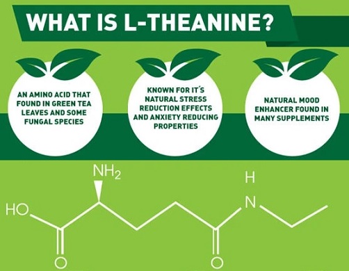 what-is-l-theanine