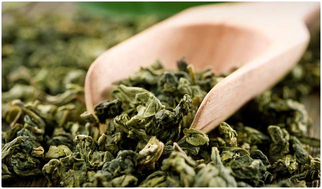 Green Tea Extract189 Green Tea Extract189