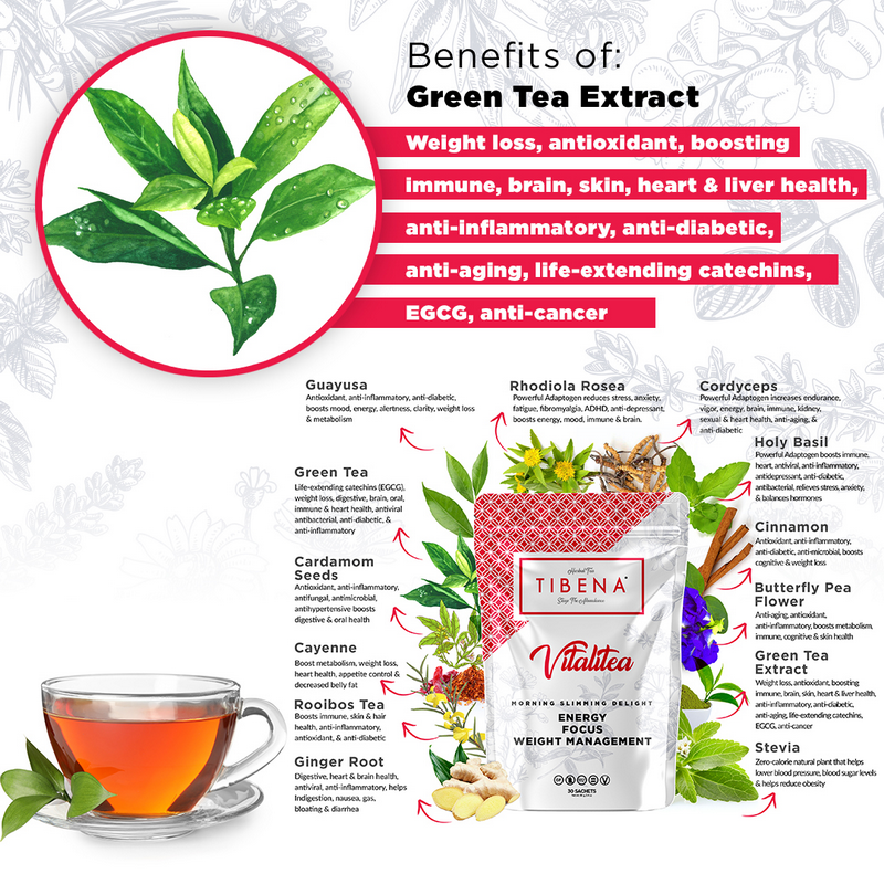 Green Tea Extract37 Green Tea Extract37