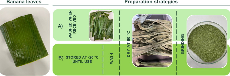 What Role Does Banaba Leaf Extract Play in The Cosmetics Industry?