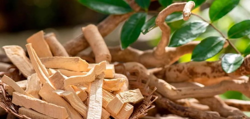 Tongkat Ali Extract Safe_1 Tongkat Ali Extract Safe_1
