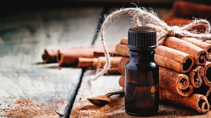 China Cinnamon Bark Extract_2 China Cinnamon Bark Extract_2