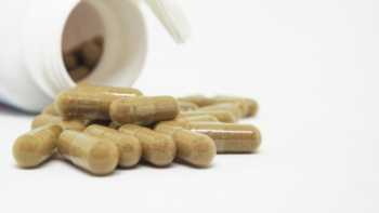 Green Tea Extract Pills Green Tea Extract Pills