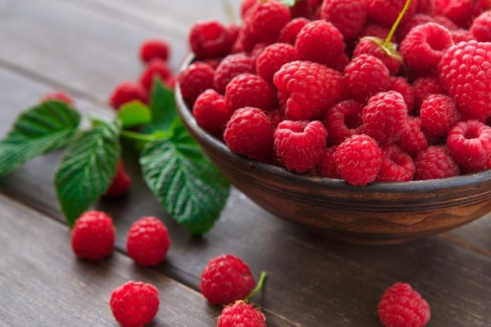 Which Is Better Raspberry Ketones Or Green Tea Extract Which Is Better Raspberry Ketones Or Green Tea Extract