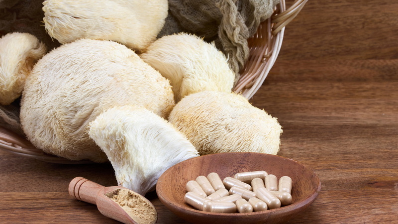 OEM Mushroom Extract OEM Mushroom Extract