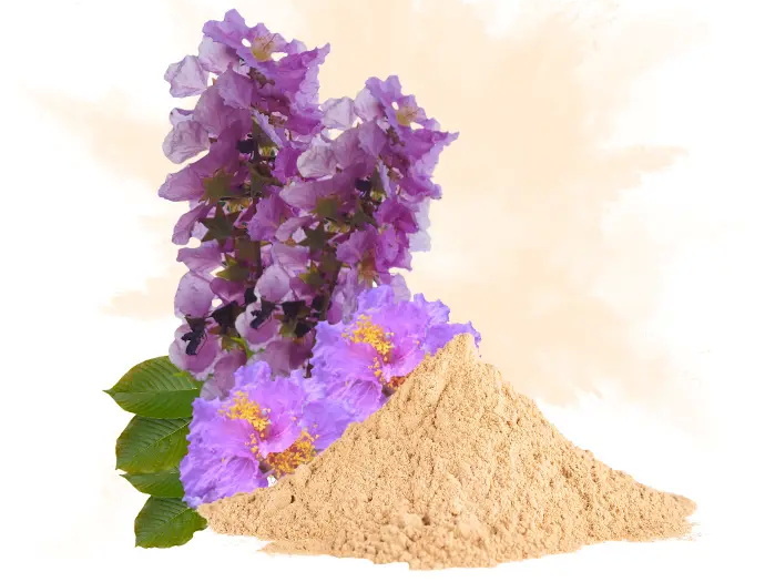 Top Banaba Leaf Extract Manufacturers and Suppliers in Germany