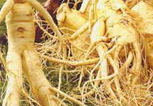 Ginseng Root Extract Ginseng Root Extract