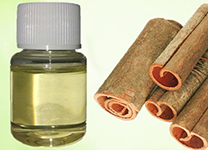 Cinnamon Bark Oil