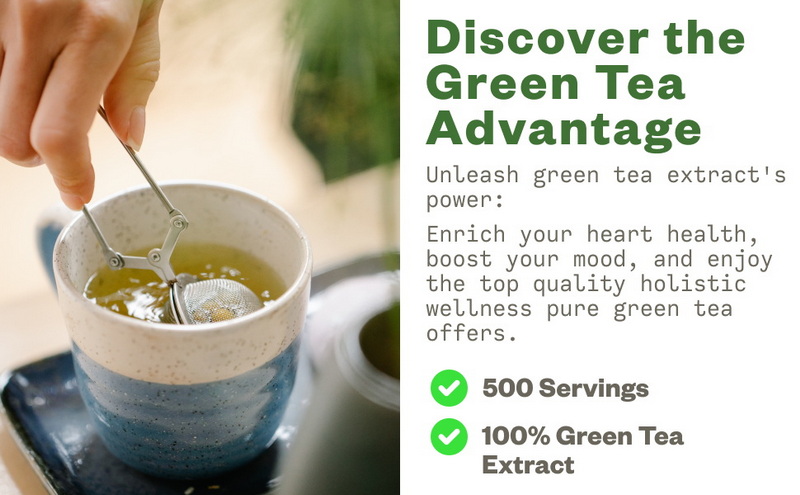 Green Tea Powder Extract Green Tea Powder Extract