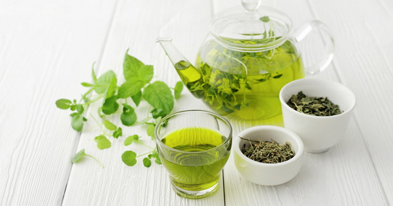Green Tea Extract Treat Degenerative Disc Disease_3 Green Tea Extract Treat Degenerative Disc Disease_3