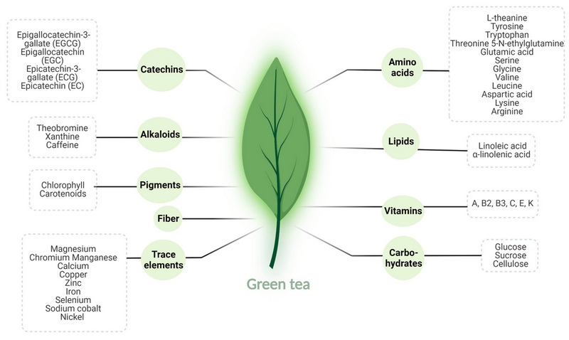 Have Green Tea Extract While Pregnant_3 Have Green Tea Extract While Pregnant_3