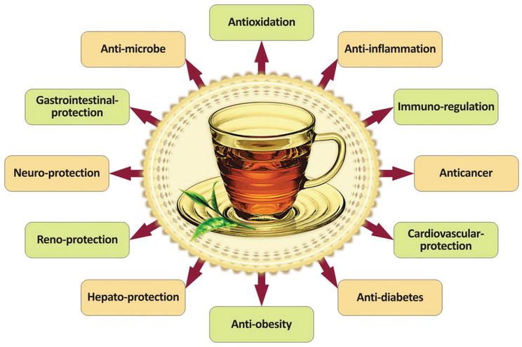 Does Green Tea Extracted Has Tannin?