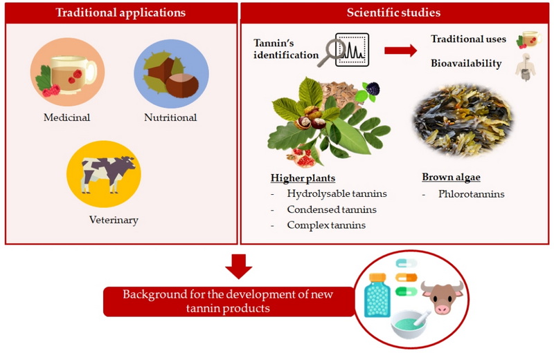 are there tannins in green tea extract_2_1 are there tannins in green tea extract_2_1
