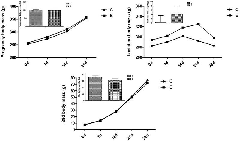 Drink Green Tea Extract When Pregnant_2 Drink Green Tea Extract When Pregnant_2