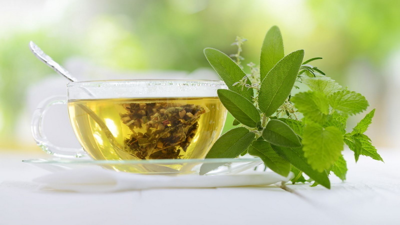 Green Tea Leaf Extract Green Tea Leaf Extract