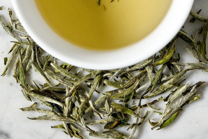 green tea extract_03 green tea extract_03