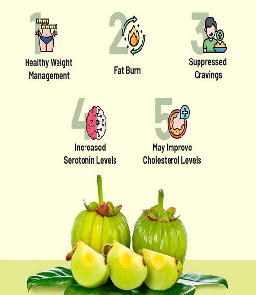 Does Garcinia Cambogia And Green Tea Extract Really Work-_2 Does Garcinia Cambogia And Green Tea Extract Really Work-_2