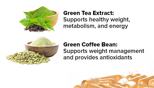 Green Tea Coffee Bean Extract Really Work Green Tea Coffee Bean Extract Really Work