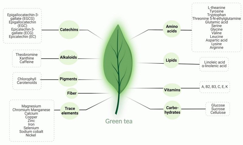 can green tea extract cause gas can green tea extract cause gas