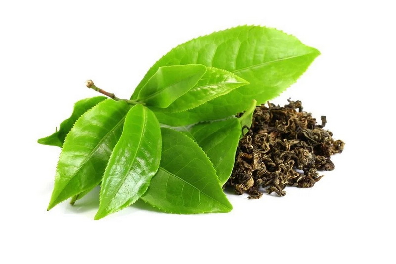 Get Extract From Green Tea Leaves