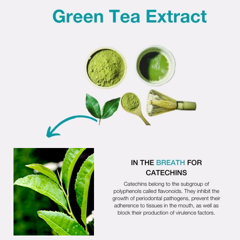 is green tea extract safe in dog food