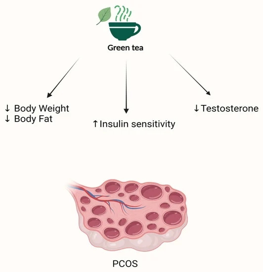 Does Green Tea Extract Lower Testosterone