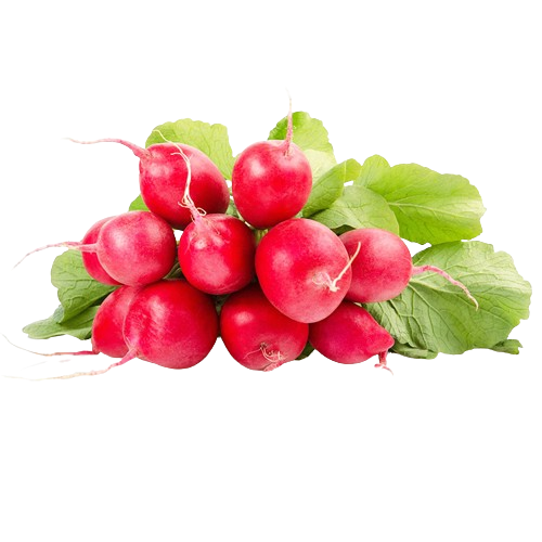 Radish Red image