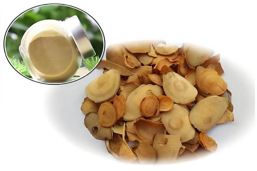Tongkat Ali Extract (Eurycoma longifolia): A Professional Ingredient Guide for Nutraceutical Manufac