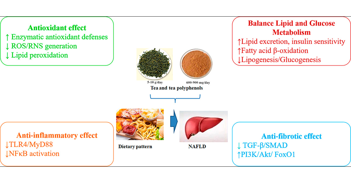 Green Tea Extract263 Green Tea Extract263