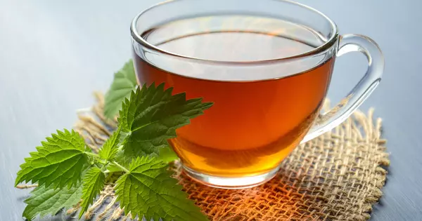 Green Tea Extract363 Green Tea Extract363