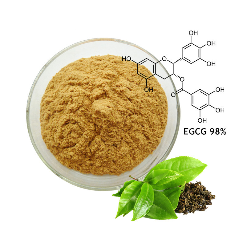 Green Tea Extract4