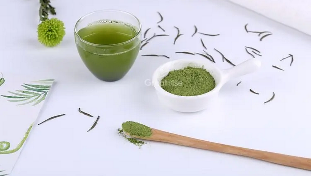 How Much Green Tea Extract To Lose Weight?