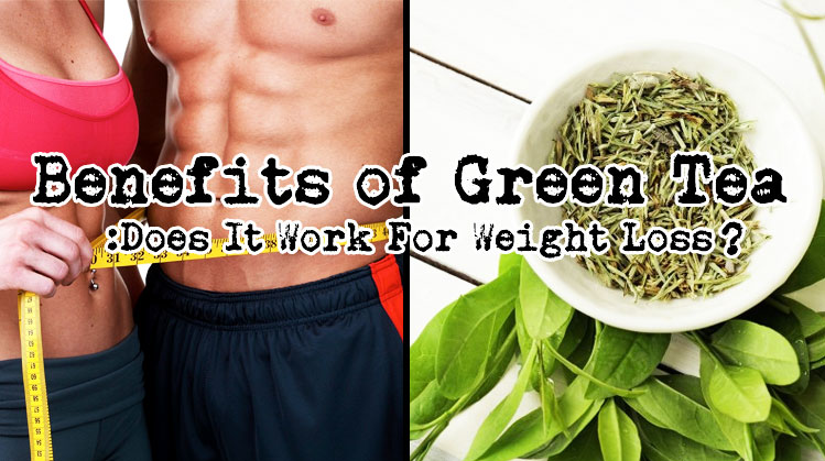 Green Tea Extract2 Green Tea Extract2