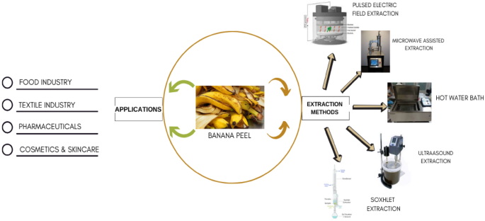 What Are The Extraction Methods Used for Banaba Leaf Extract?